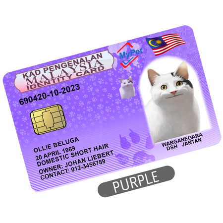 Purple Purple