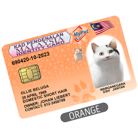 Orange Orange
