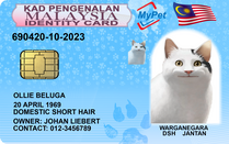 PET ID