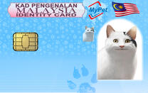 PET ID